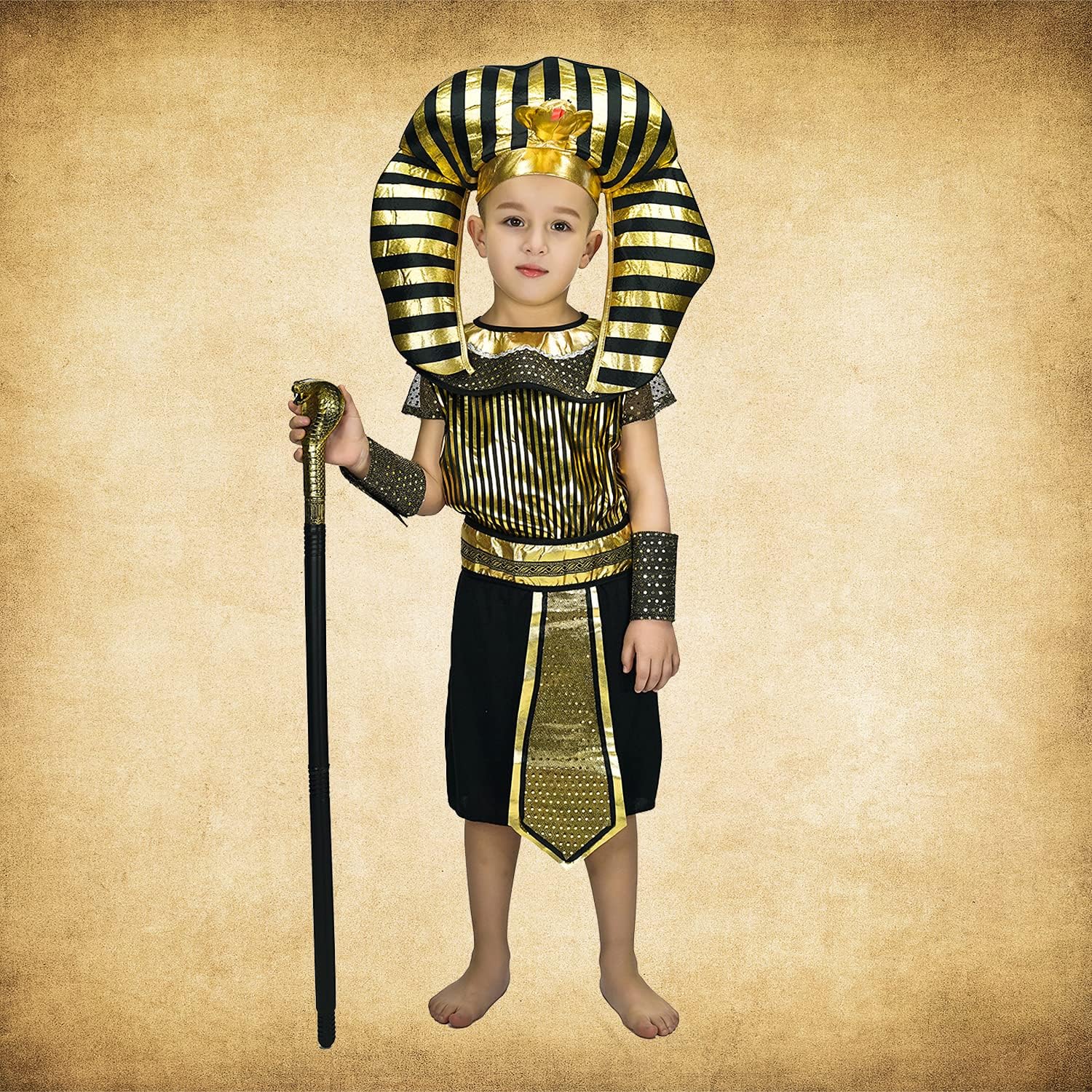 Egyptian Pharaoh Costume Hallo - مراجعة Egypt Cosplay Anime وسعره