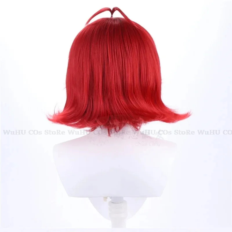 2025 hasbin Cos Niffty Wig Ani - مراجعة Anime Cosplay Red Hair وسعره